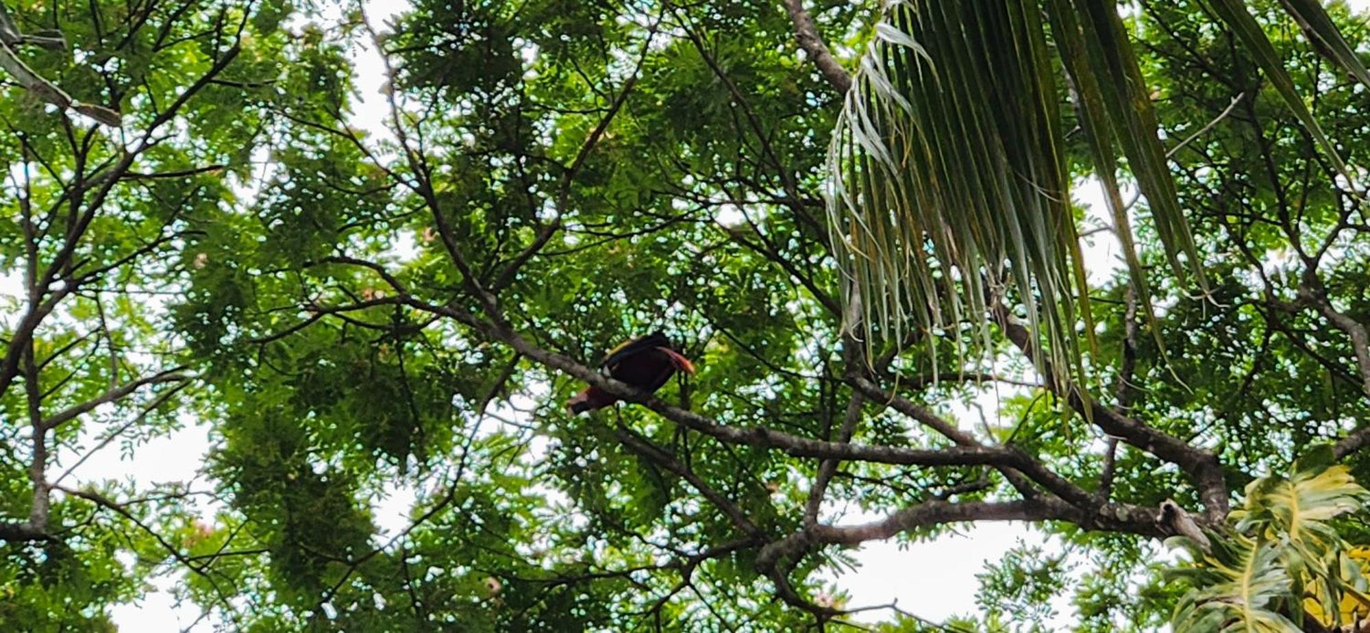 Macaw Paradise Хако Экстерьер фото